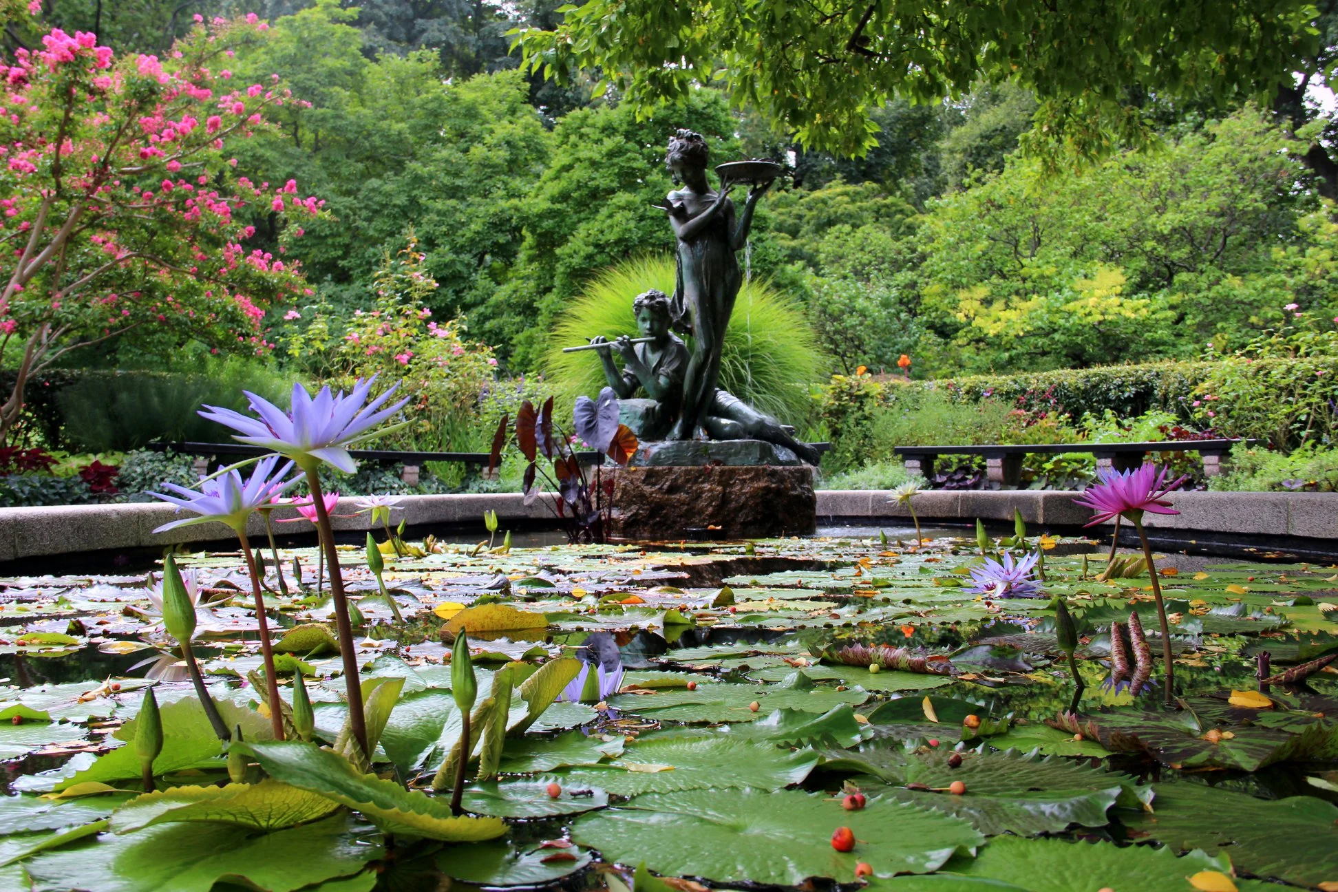 Foto do album Central Park